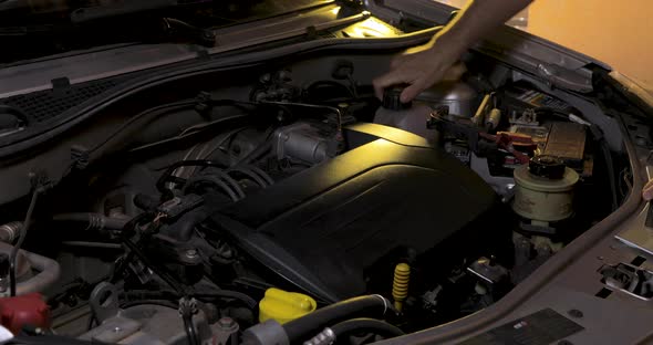 Ring the cover of the radiator reservoir to check if the water needs to be filled alt