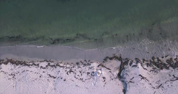 Aerial shot dropping down over the green Atlantic Ocean waves breaking against the sandy Maine coast alt