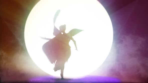 Silhouette  3D Butterfly woman Dancer alt