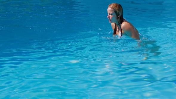 Young Girl And Dolphin Swimming In Pool