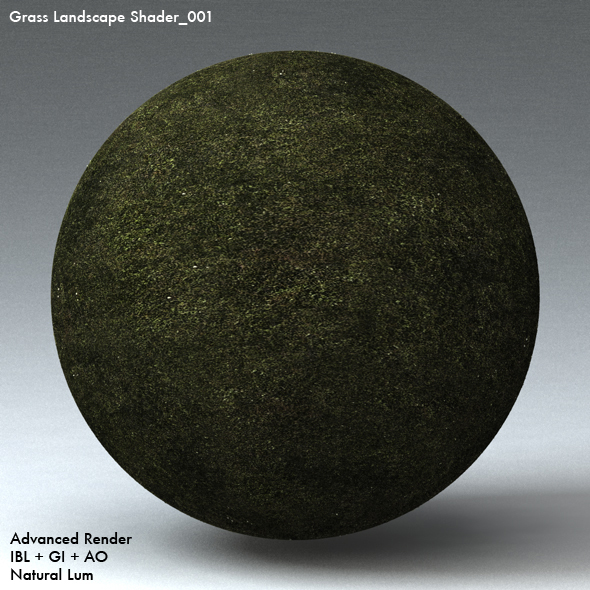 Grass Landscape Shader_001 - 3DOcean Item for Sale