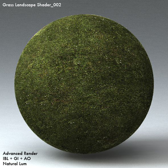 Grass Landscape Shader_002 - 3DOcean Item for Sale