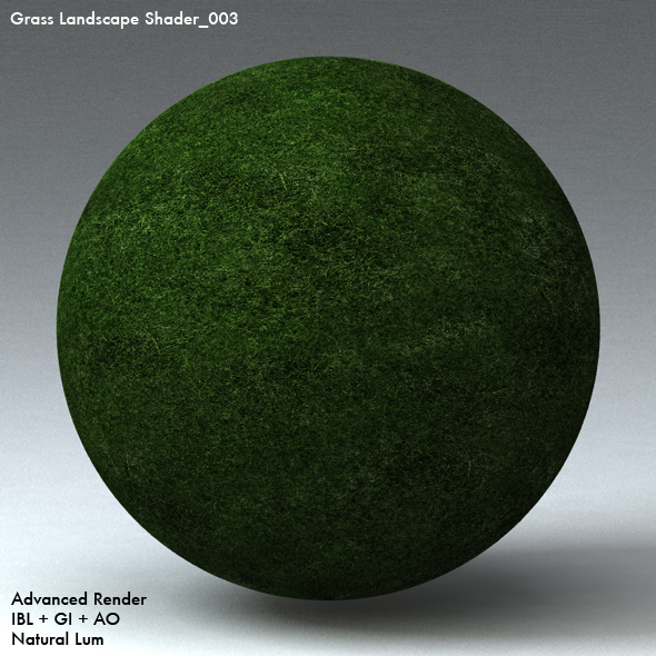 Grass Landscape Shader_003 - 3DOcean Item for Sale