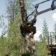 Mechanical Arm Feller Buncher Loads Tree Trunks - VideoHive Item for Sale