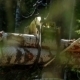 Mechanical Arm Loads Tree Trunks In Forest - VideoHive Item for Sale