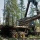 Mechanical Arm Loads Tree Trunks - VideoHive Item for Sale