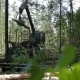 Mechanical Arm Feller Buncher Loads Tree Trunk - VideoHive Item for Sale