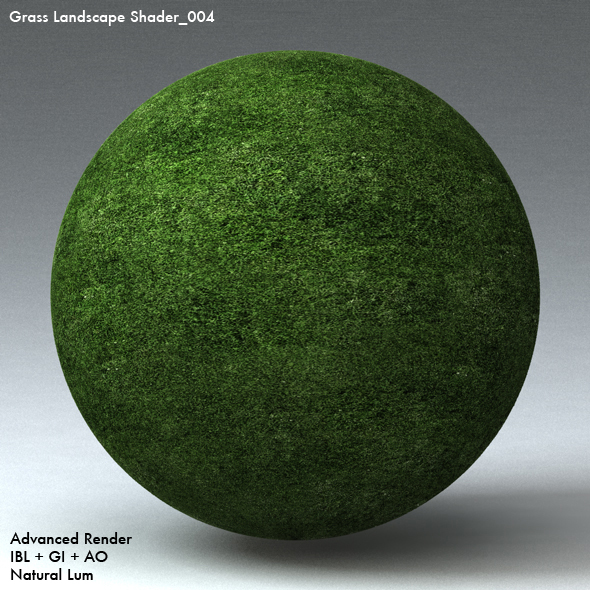 Grass Landscape Shader_004 - 3DOcean Item for Sale