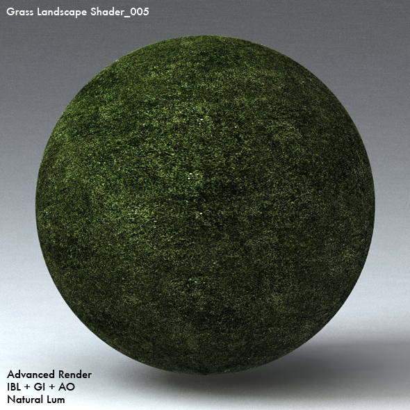 Grass Landscape Shader_005 - 3DOcean Item for Sale