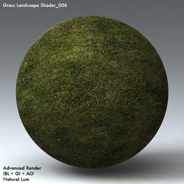 Grass Landscape Shader_006 - 3DOcean Item for Sale