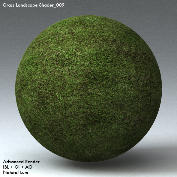 Grass Landscape Shader_009 - 3DOcean Item for Sale