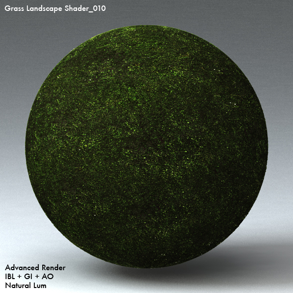 Grass Landscape Shader_010 - 3DOcean Item for Sale