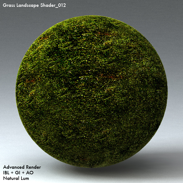Grass Landscape Shader_012 - 3DOcean Item for Sale
