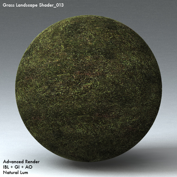 Grass Landscape Shader_013 - 3DOcean Item for Sale