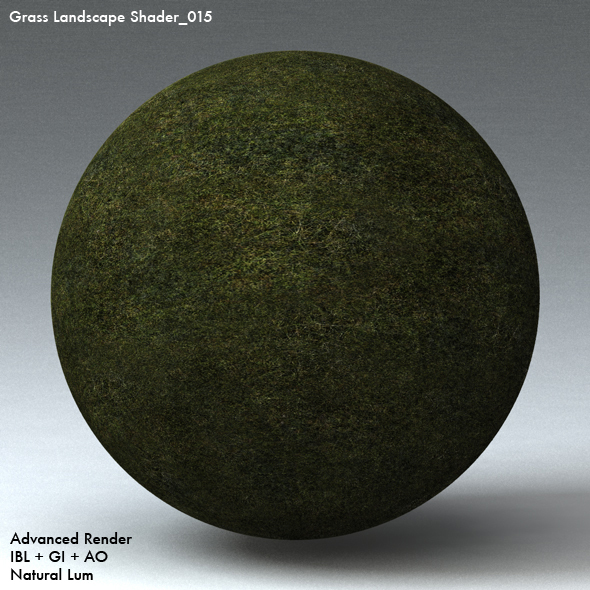 Grass Landscape Shader_015 - 3DOcean Item for Sale