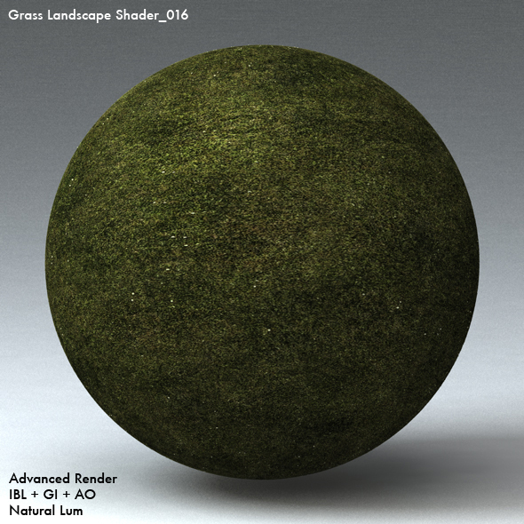 Grass Landscape Shader_016 - 3DOcean Item for Sale
