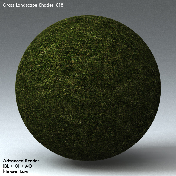 Grass Landscape Shader_018 - 3DOcean Item for Sale