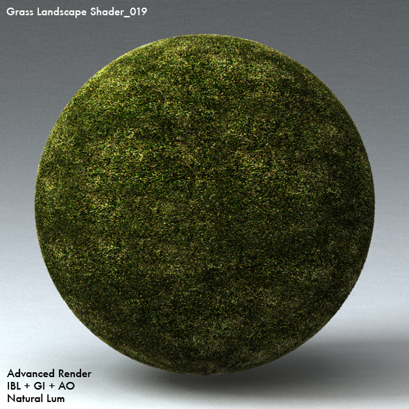 Grass Landscape Shader_019 - 3DOcean Item for Sale