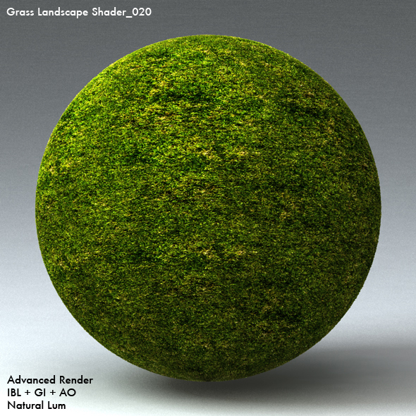 Grass Landscape Shader_020 - 3DOcean Item for Sale