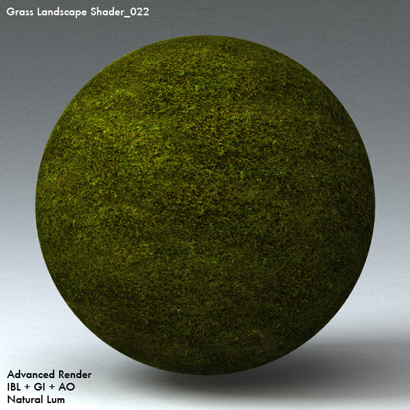 Grass Landscape Shader_022 - 3DOcean Item for Sale