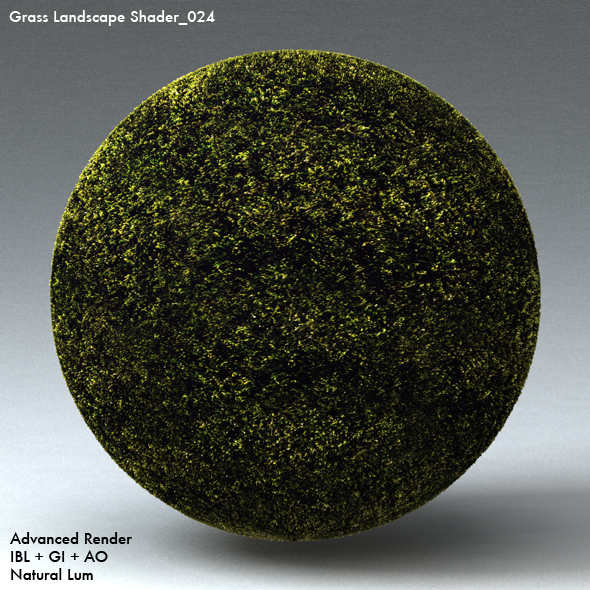 Grass Landscape Shader_024 - 3DOcean Item for Sale