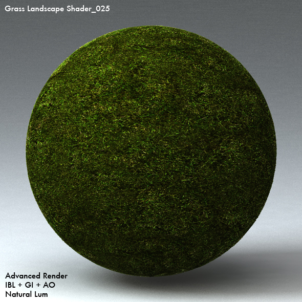 Grass Landscape Shader_025 - 3DOcean Item for Sale
