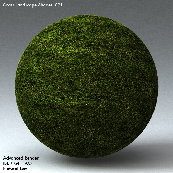 Grass Landscape Shader_021 - 3DOcean Item for Sale