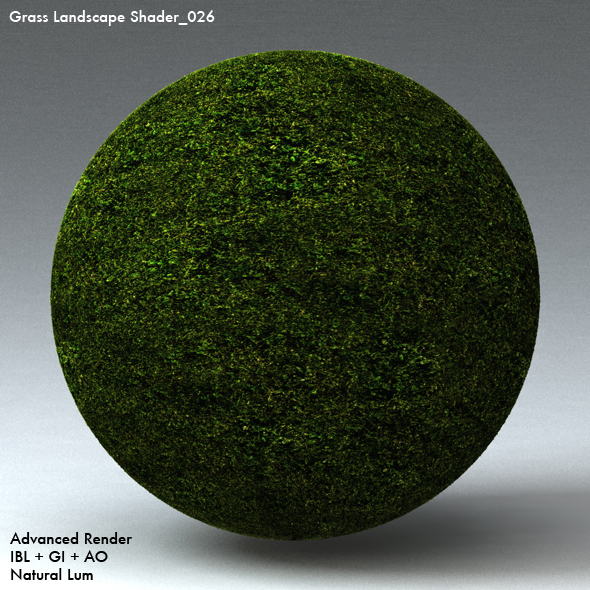 Grass Landscape Shader_026 - 3DOcean Item for Sale