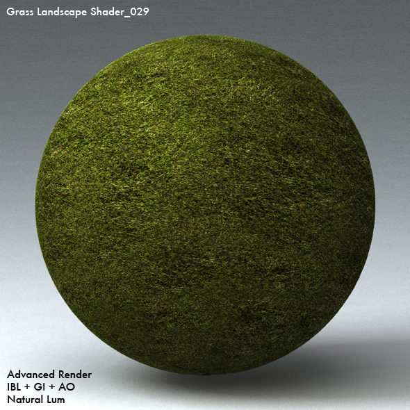 Grass Landscape Shader_029 - 3DOcean Item for Sale