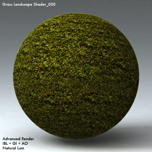 Grass Landscape Shader_030 - 3DOcean Item for Sale