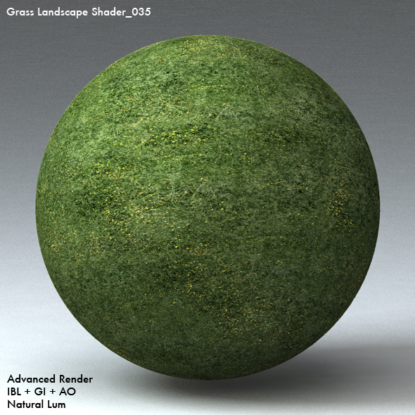 Grass Landscape Shader_035 - 3DOcean Item for Sale
