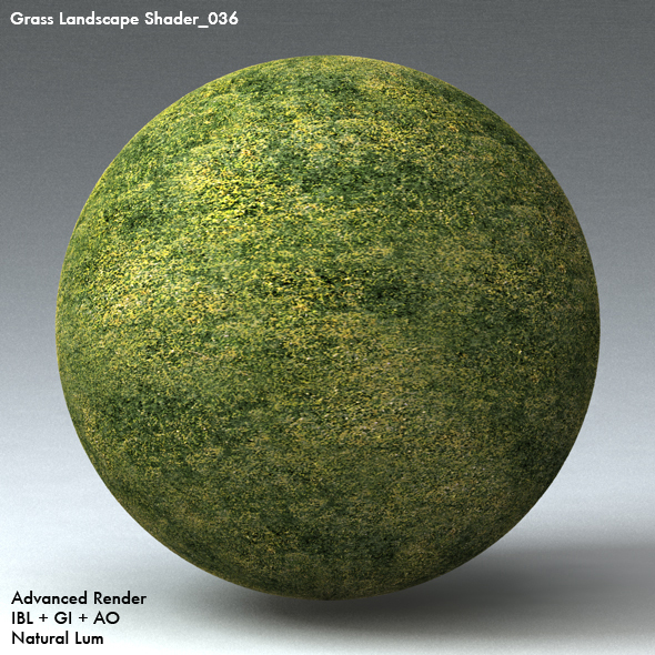 Grass Landscape Shader_036 - 3DOcean Item for Sale