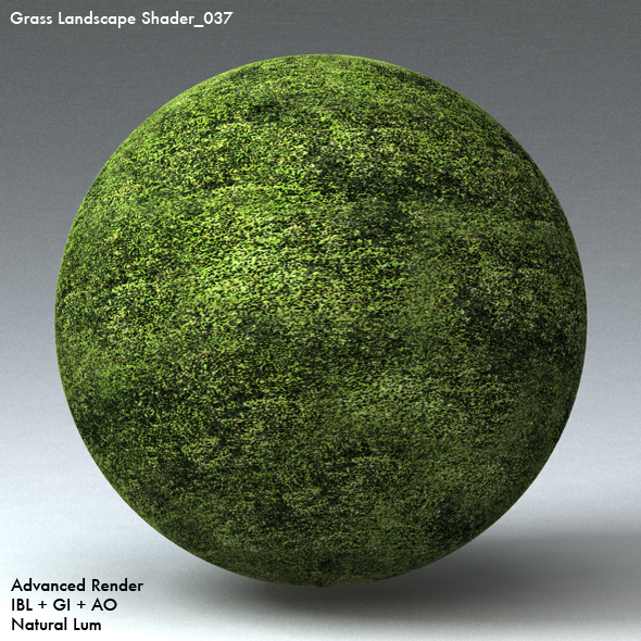 Grass Landscape Shader_037 - 3DOcean Item for Sale