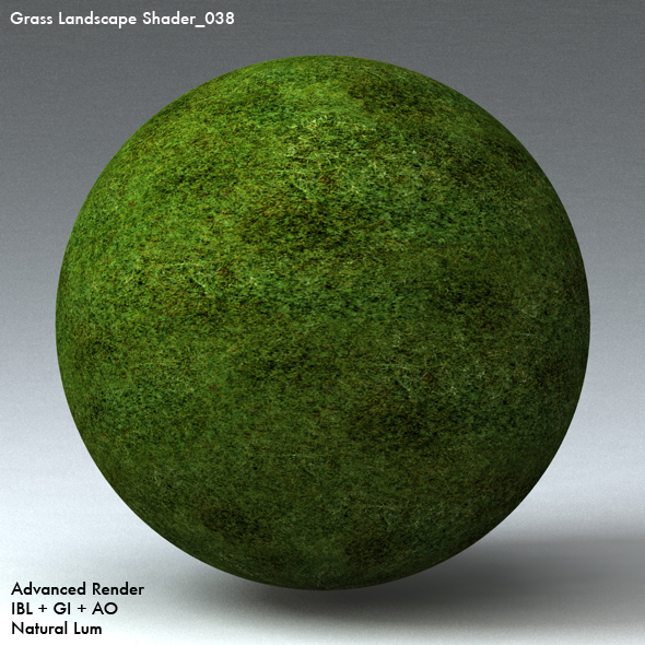 Grass Landscape Shader_038 - 3DOcean Item for Sale
