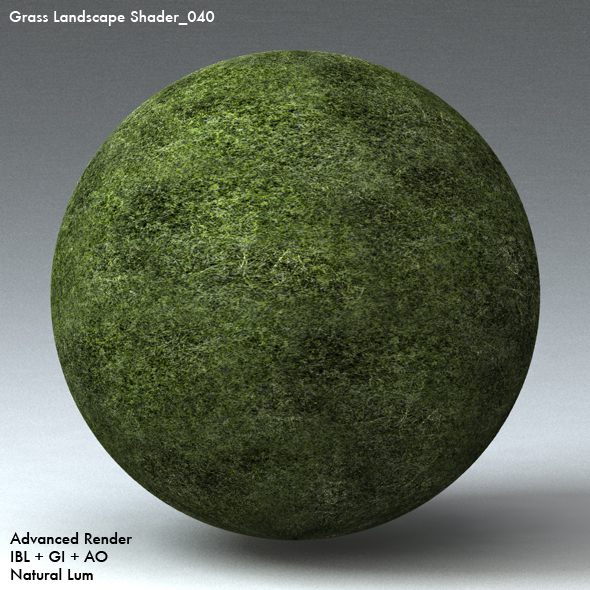 Grass Landscape Shader_040 - 3DOcean Item for Sale