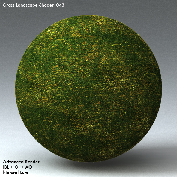 Grass Landscape Shader_043 - 3DOcean Item for Sale