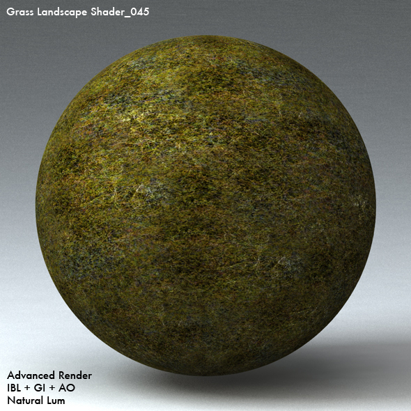 Grass Landscape Shader_045 - 3DOcean Item for Sale