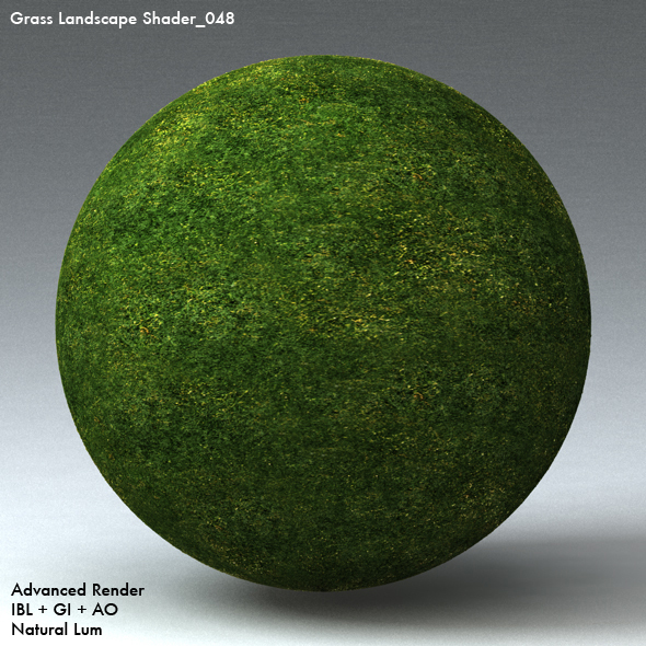 Grass Landscape Shader_048 - 3DOcean Item for Sale