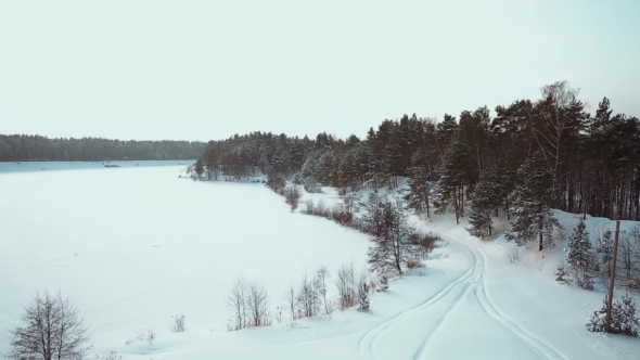 Winter Snowy Field And Forest alt
