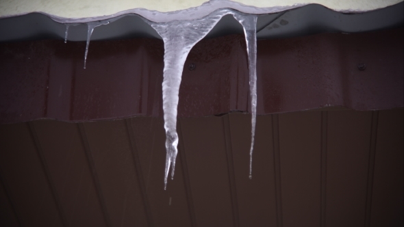 Spring Icicle, Water Drips Down alt