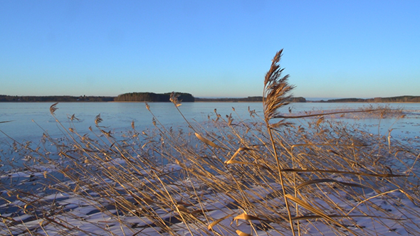 Winter. View On Frozen Lake