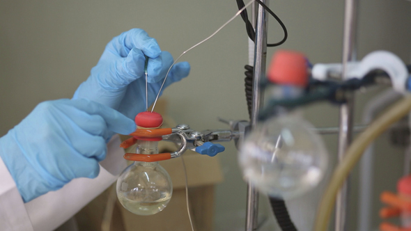 Scientist Working in the Lab alt