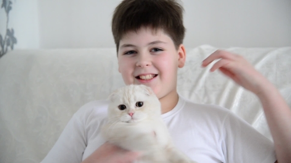 Teenage Boy Playing With  Kitten 4 Months