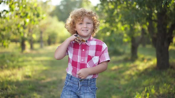 Portrait of Charming Redhead Caucasian Little Boy Standing in Park on Sunny Day Looking at Camera alt