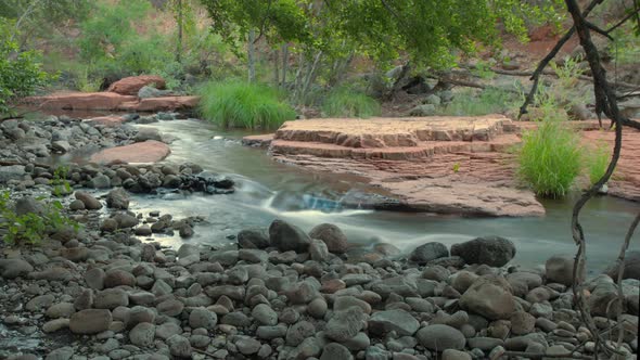 Creek Through Forest Scenic Water Timelapse Wide Shot