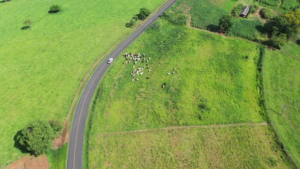Farming landscape at countryside rural scenery. alt