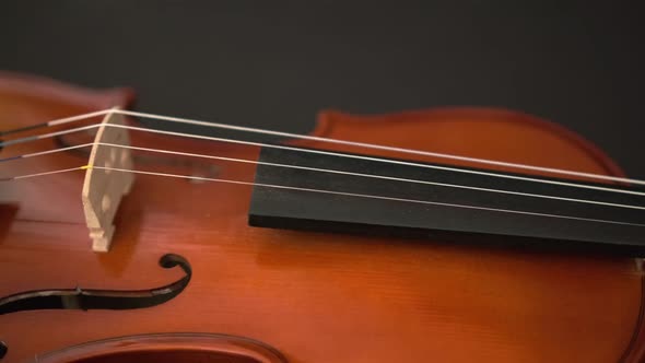 Violin Playing