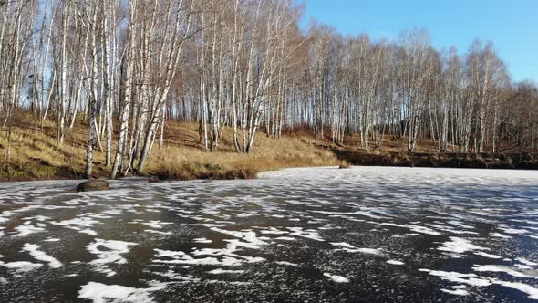 Forest on the lake, part 2 