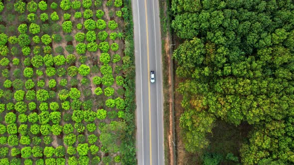 4K Aerial view over a farmer's garden. A car drives on a road near a garden in rural Thailand. alt