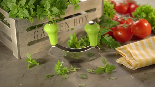 Cinemagraph Fresh Basil, Tomatoes with A Mezzaluna Knife and Wooden Box